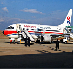 阆中古城航空快递-当日到达,轻松快捷