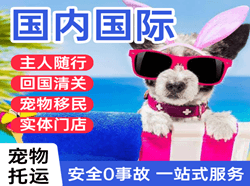 阆中古城航空快递国际宠物托运 【国